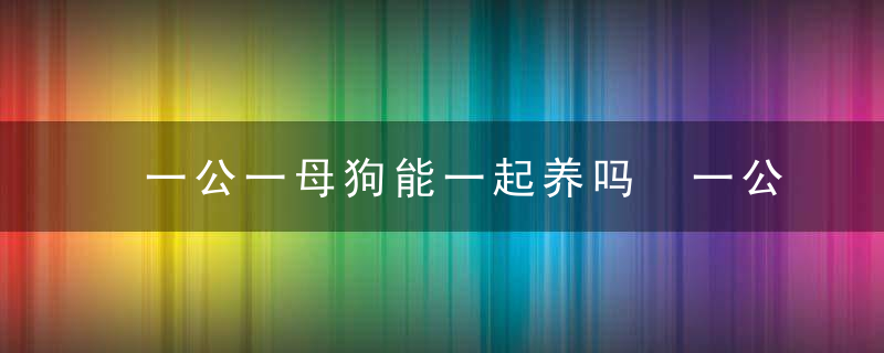 一公一母狗能一起养吗 一公一母狗可以一起养吗